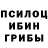 Псилоцибиновые грибы Cubensis Oh boiii
