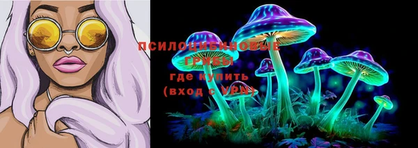 дживик Алексеевка